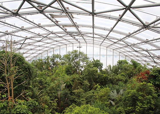 Maintenance gantry in a zoo