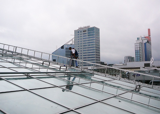 Traversing Ladders on a Glass Roof