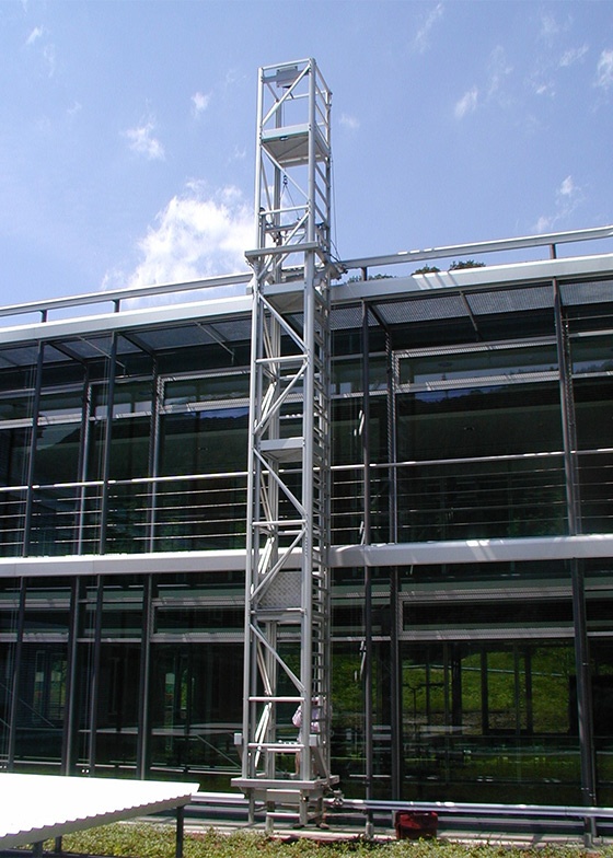 What are the different types of maintenance ladders?