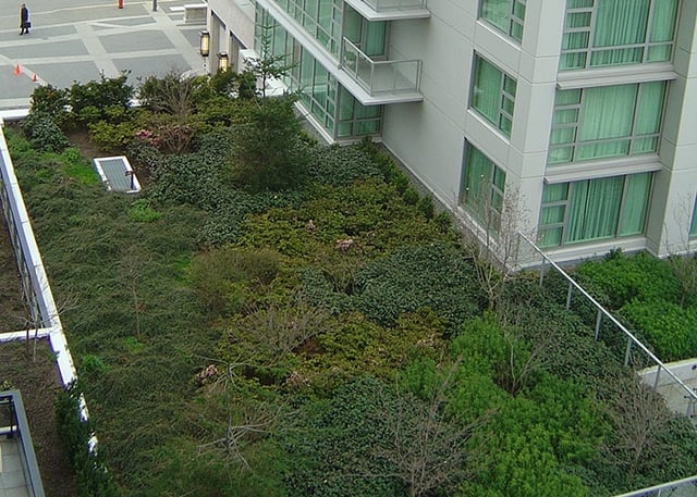 Green_roof.jpg