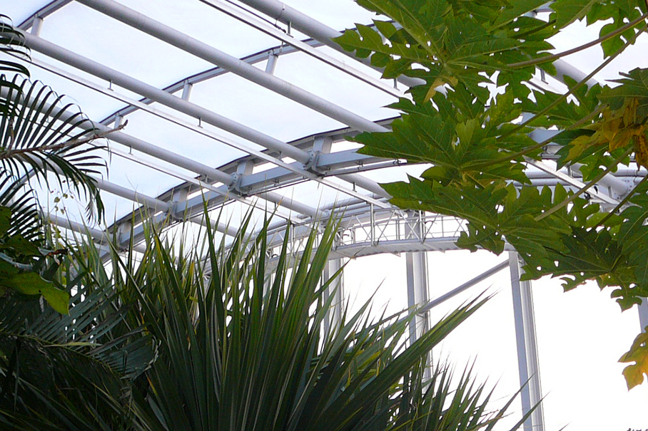 Masoala_hall_in_gantry